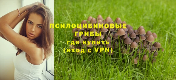 гашик Абдулино