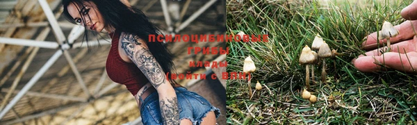 гашик Абдулино