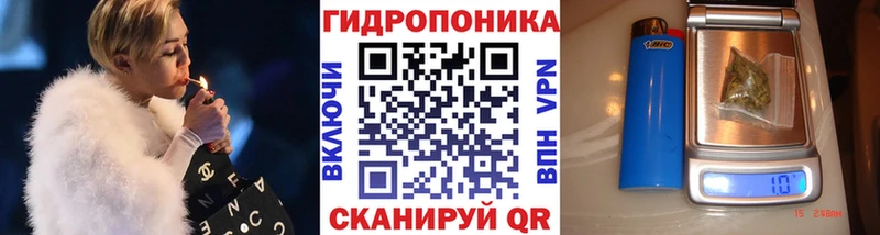дарнет шоп  Дмитровск  Бошки Шишки Bruce Banner 